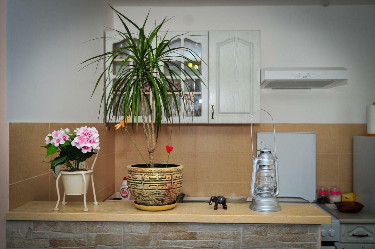 Apartment Elena Тиват Экстерьер фото
